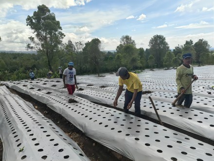 加里曼丹 Berau基地